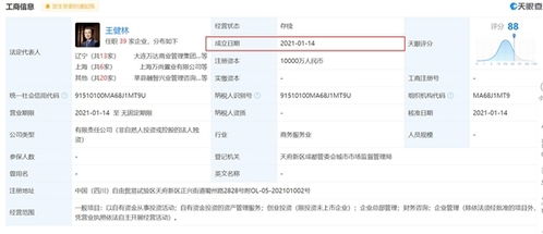 王思聪被强制执行7701万 资本棋局下的投资信息咨询迷思