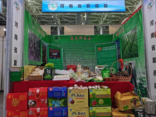 夏邑县农产品亮相驻马店第二十四届中国农产品加工业投资贸易洽谈会 投资信息引关注